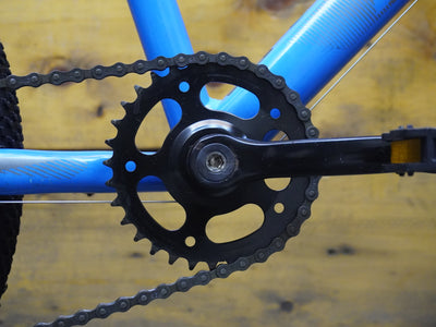 Giant XTC JR 20 Lite Kids Bike