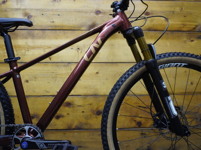 LIV Tempt 2 Mountain Bike