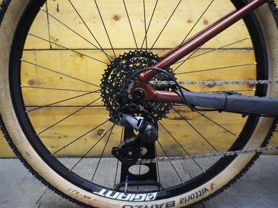 LIV Tempt 2 Mountain Bike