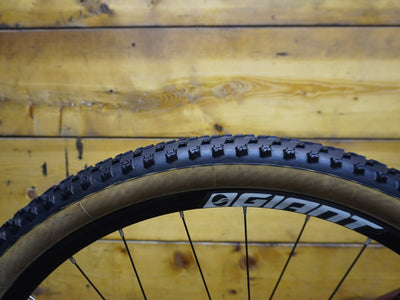 LIV Tempt 2 Mountain Bike