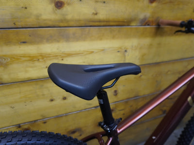 LIV Tempt 2 Mountain Bike