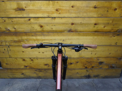LIV Tempt 2 Mountain Bike