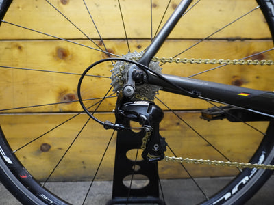 RENT Silverback Space Road Bike
