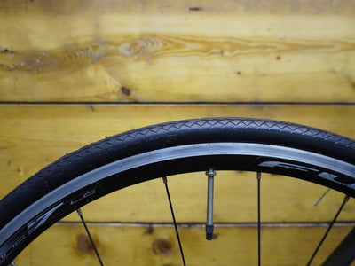 RENT Silverback Space Road Bike