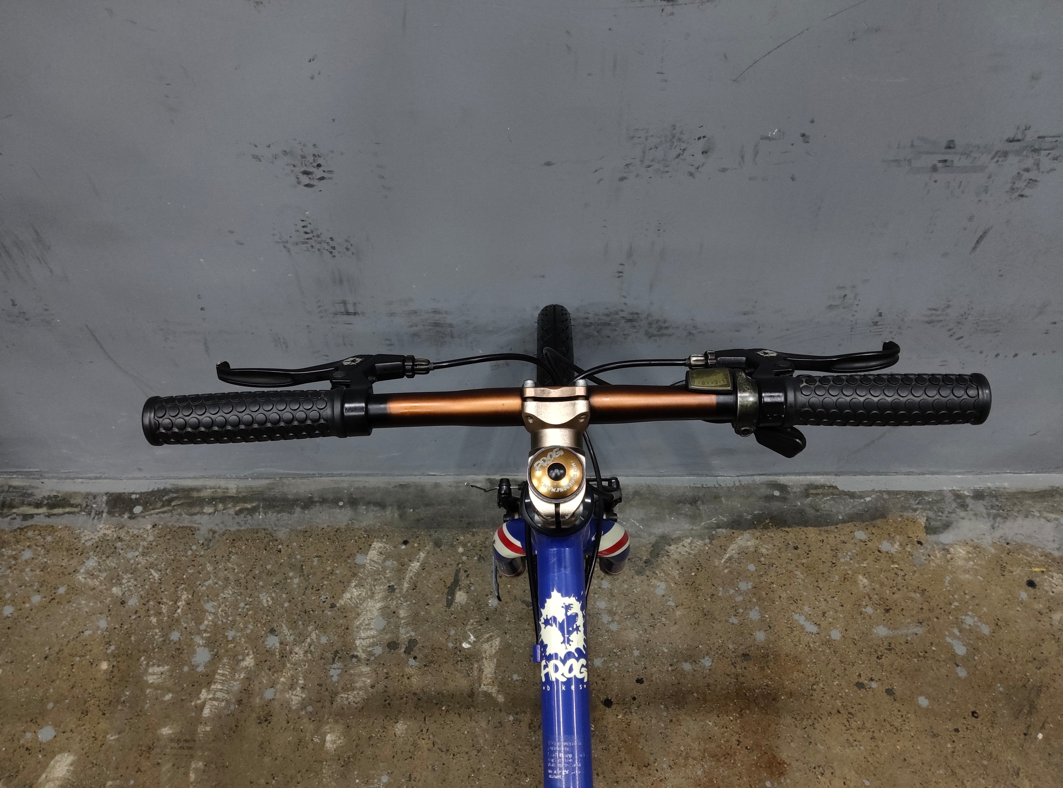 Frog 62 Kids Bike