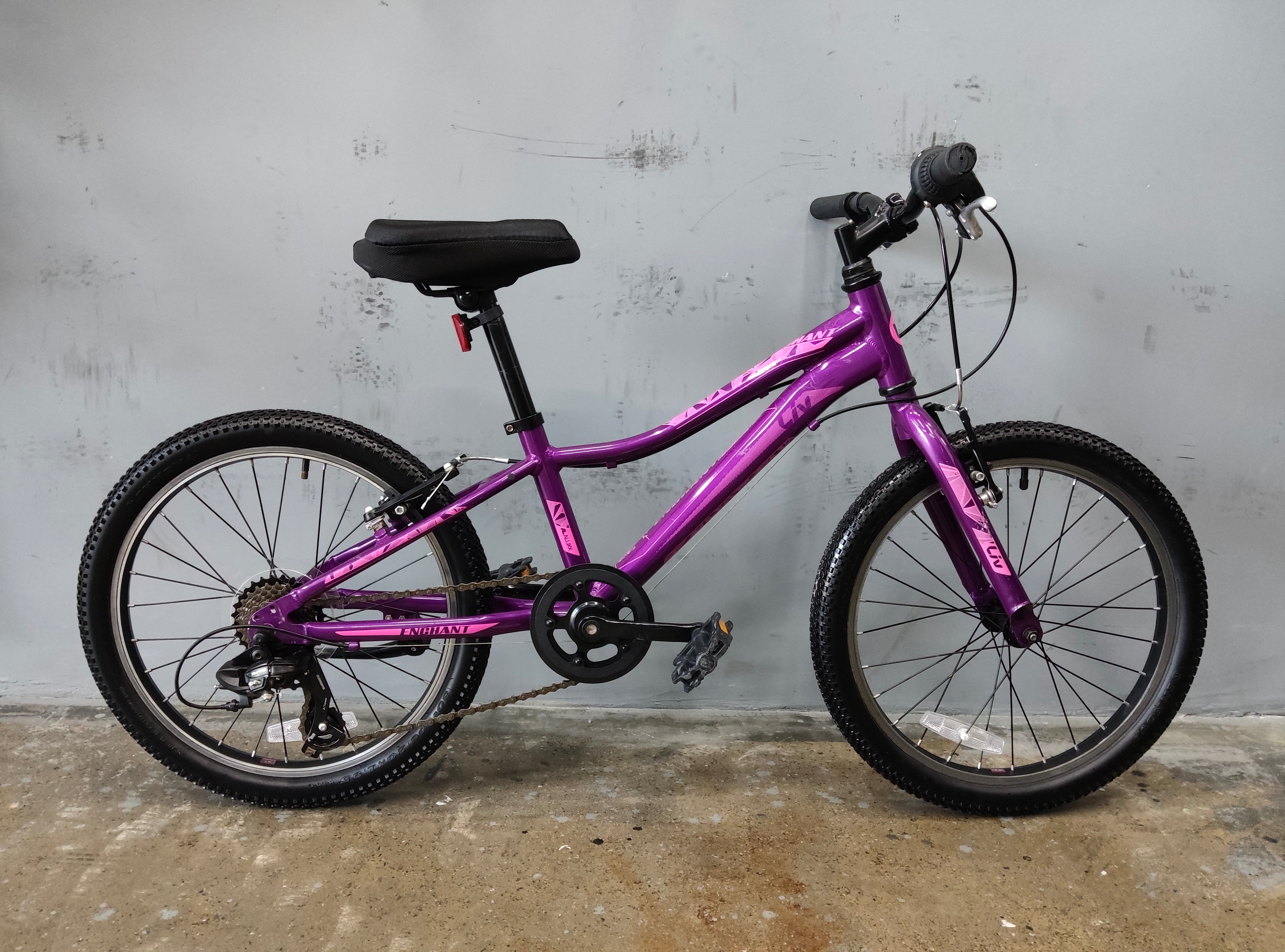 Giant Liv Enchant Kids Bike