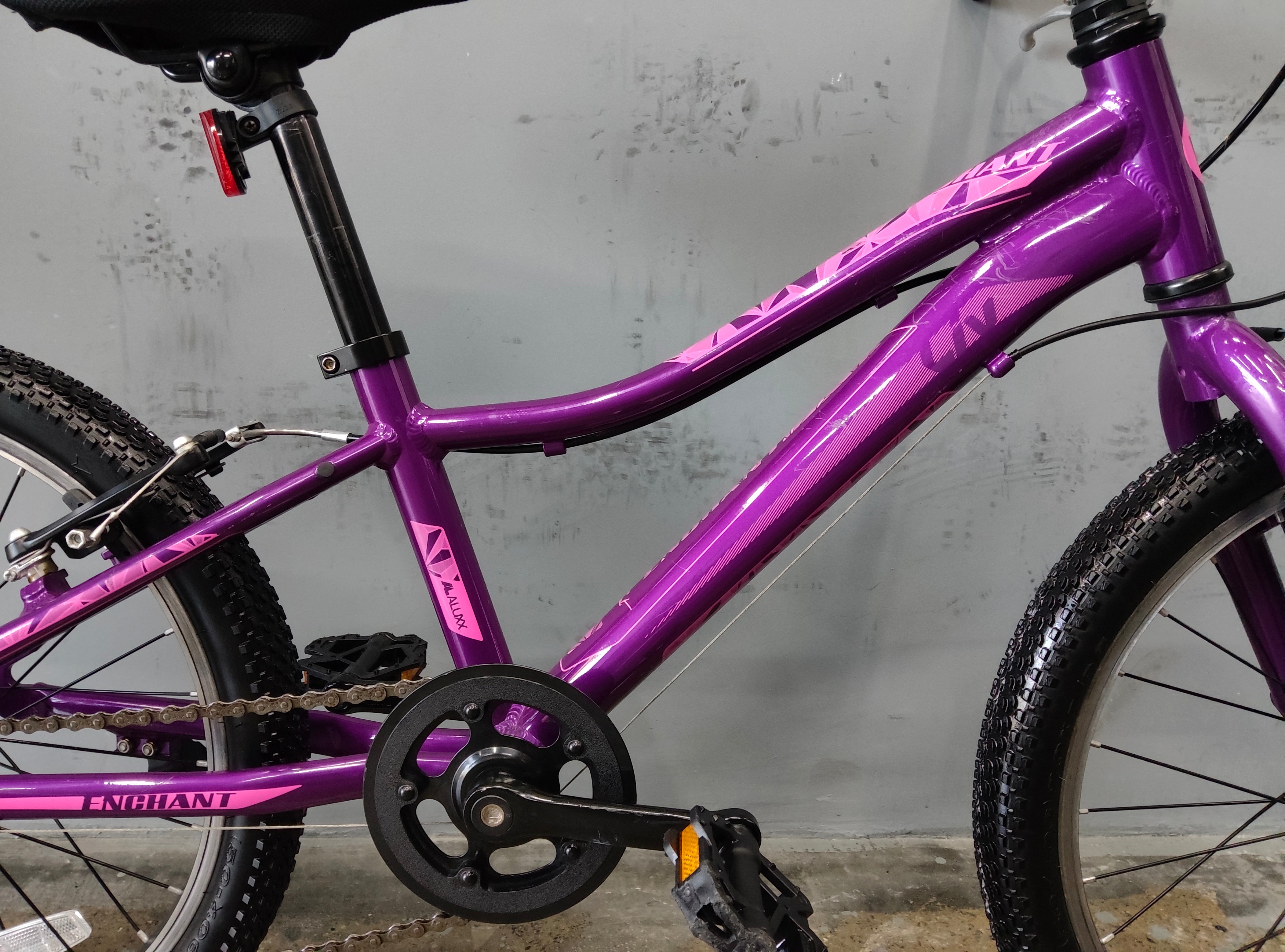 Giant Liv Enchant Kids Bike
