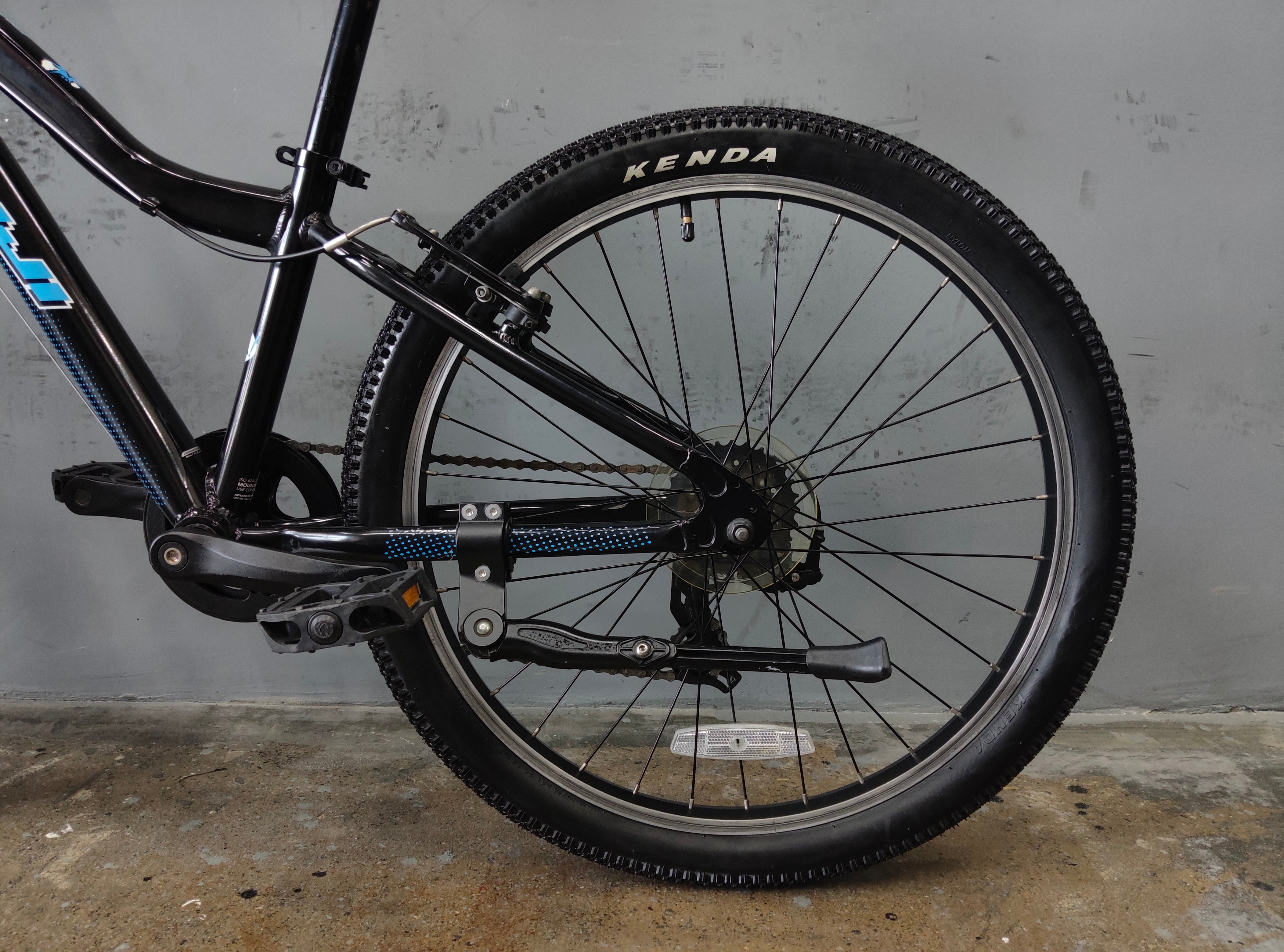 Fuji Dynamite Kids Bike
