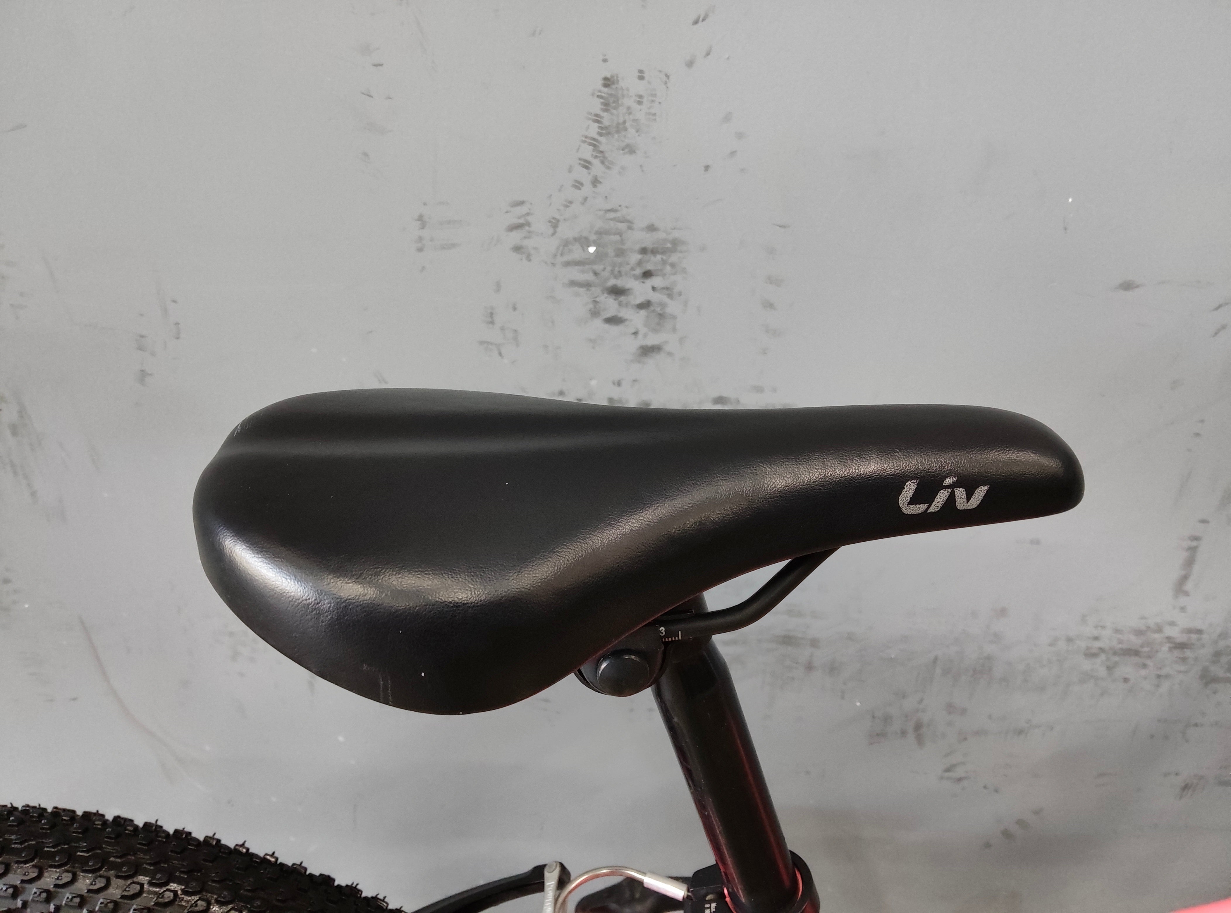 Giant Liv Enchant Kids Bike