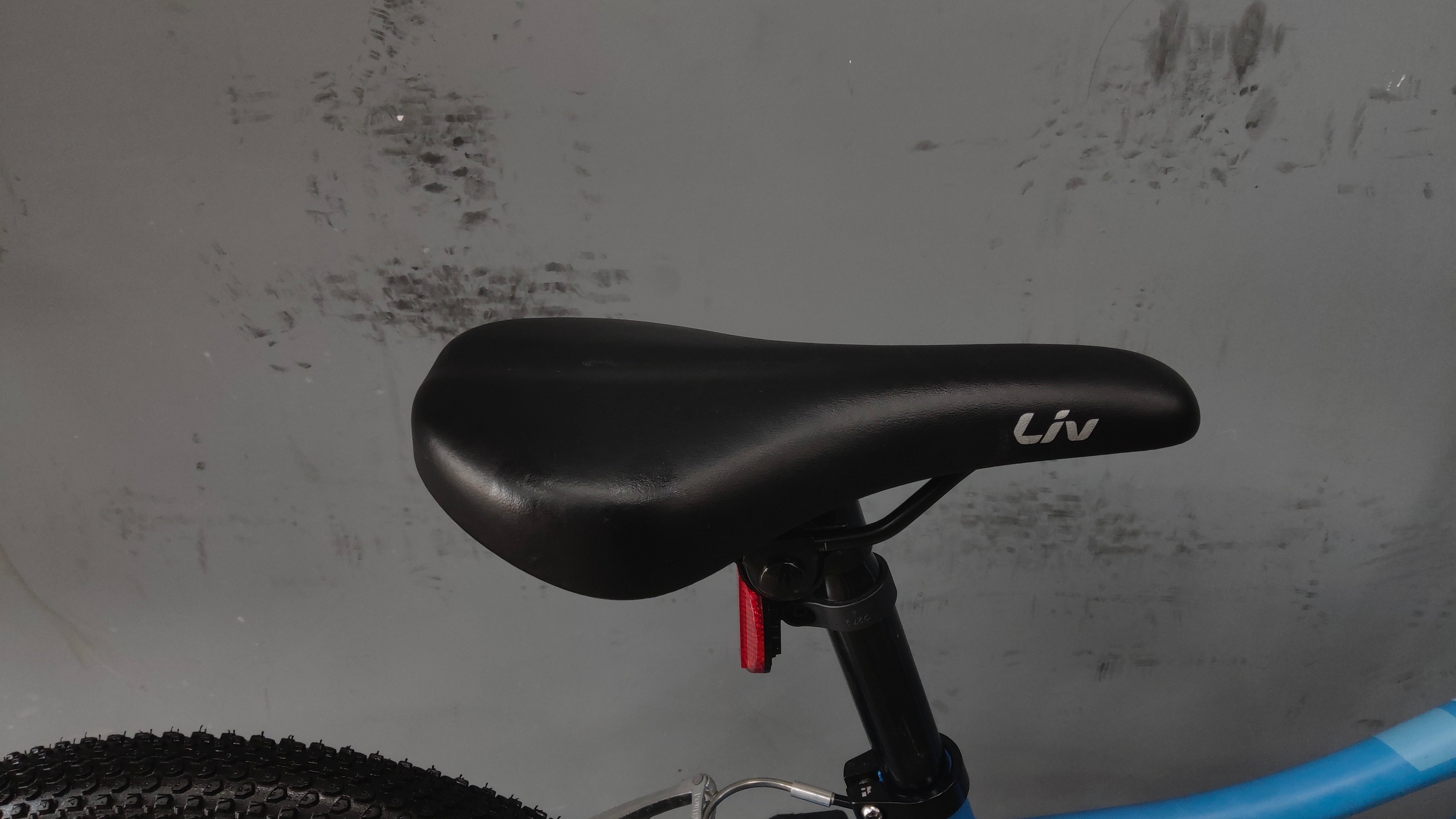 Giant Liv Enchant Kids Bike