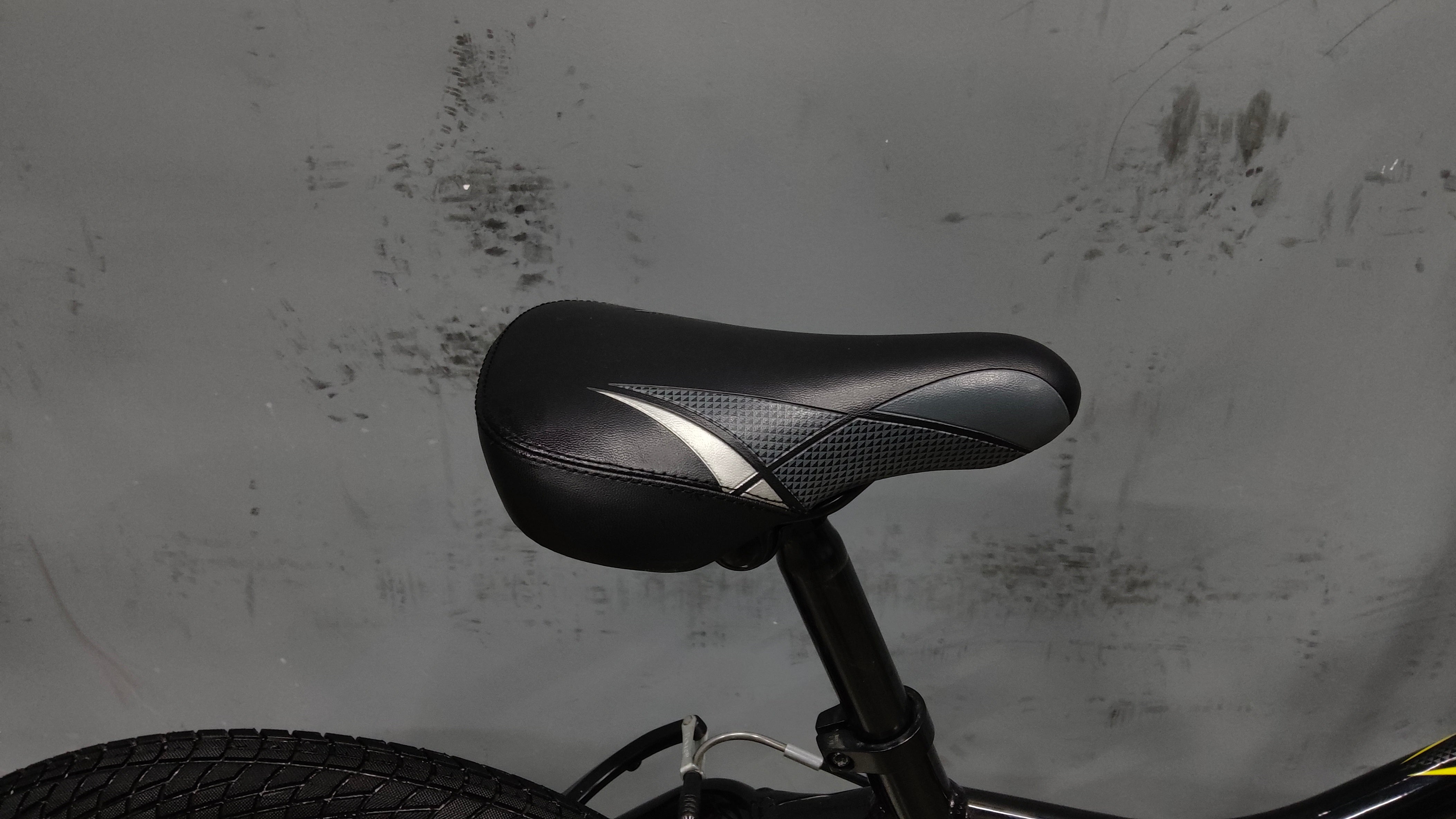 Giant Moda Kids Bike