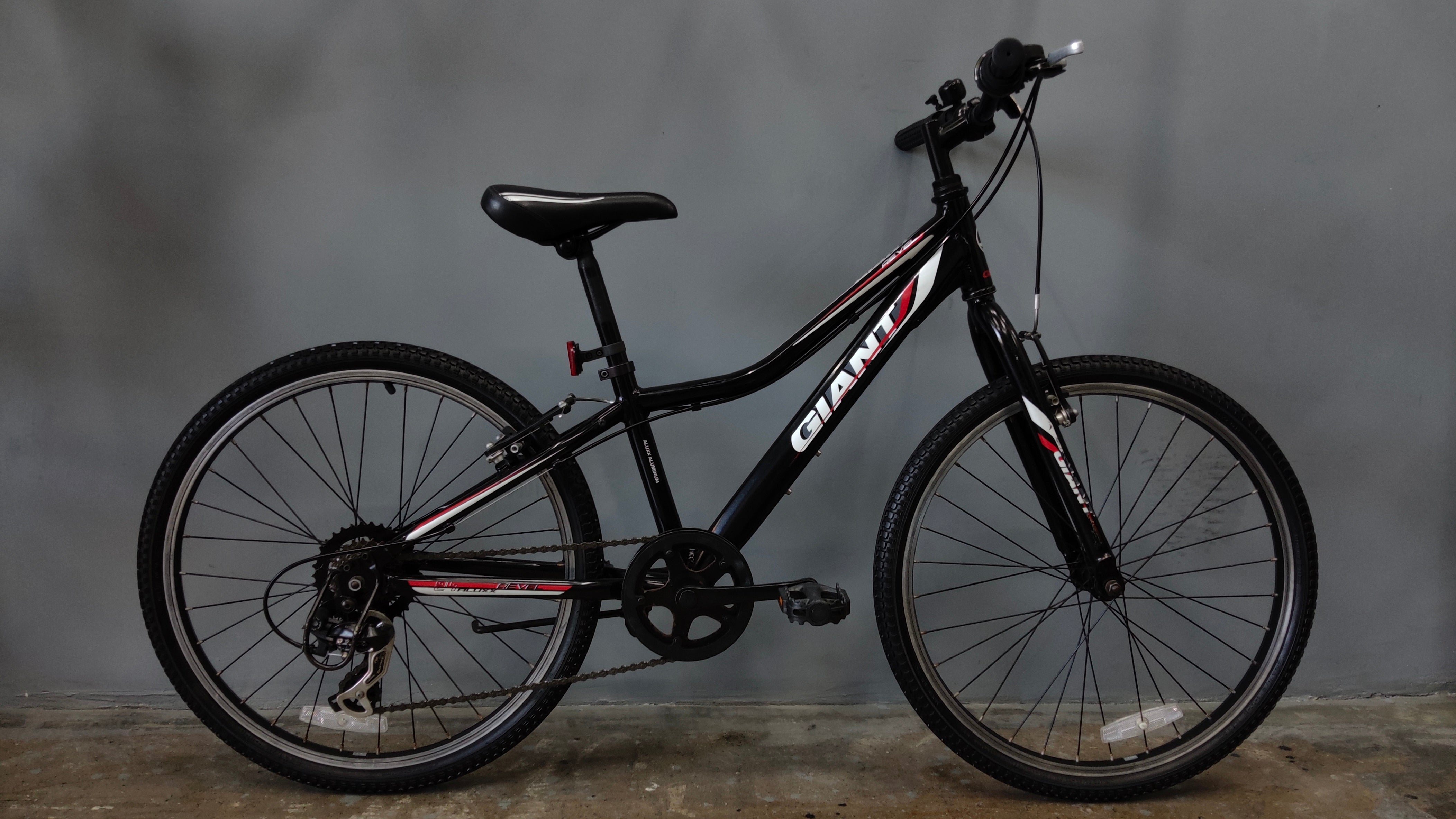 Giant Revel Kids Bike