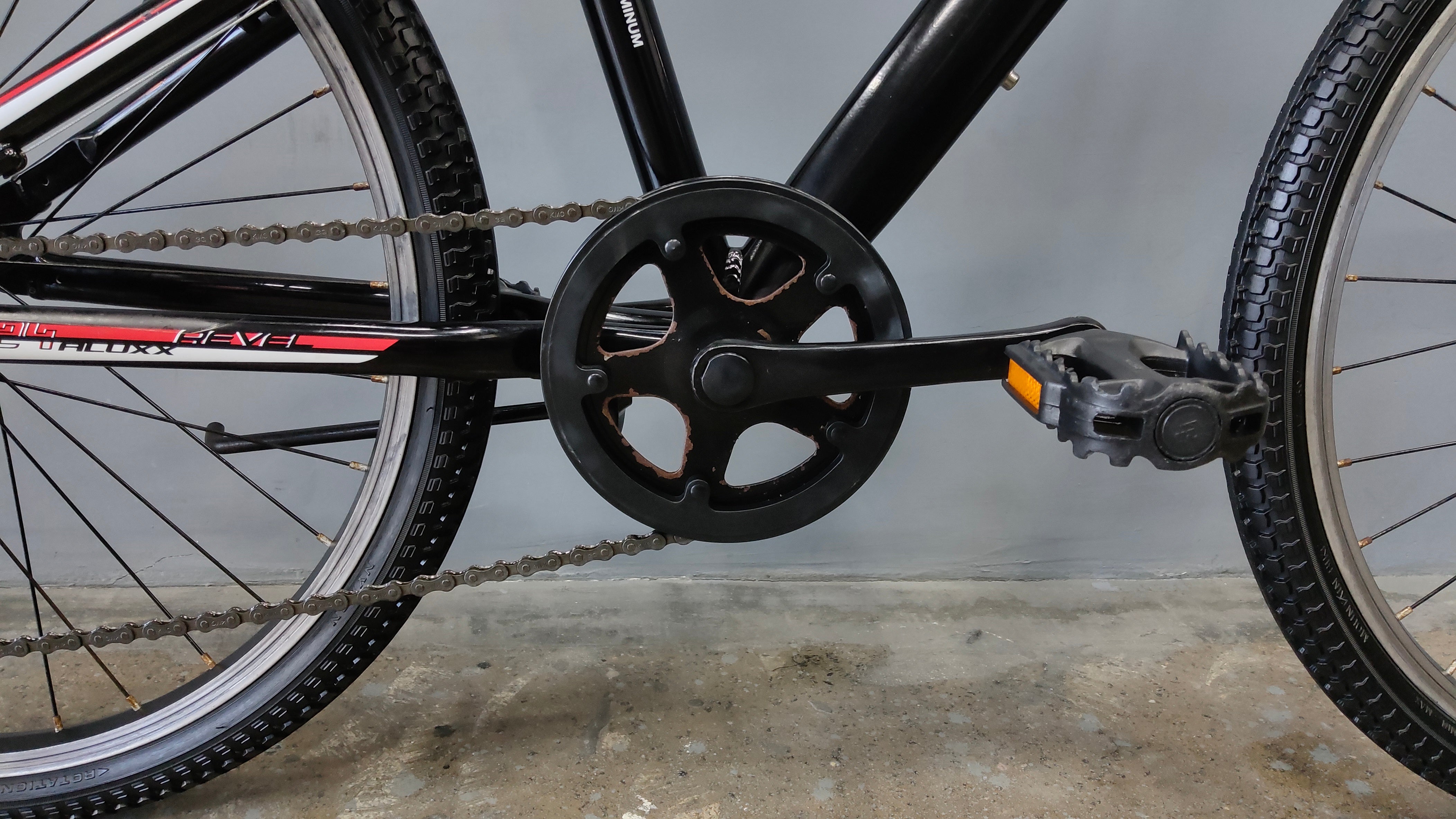 Giant Revel Kids Bike