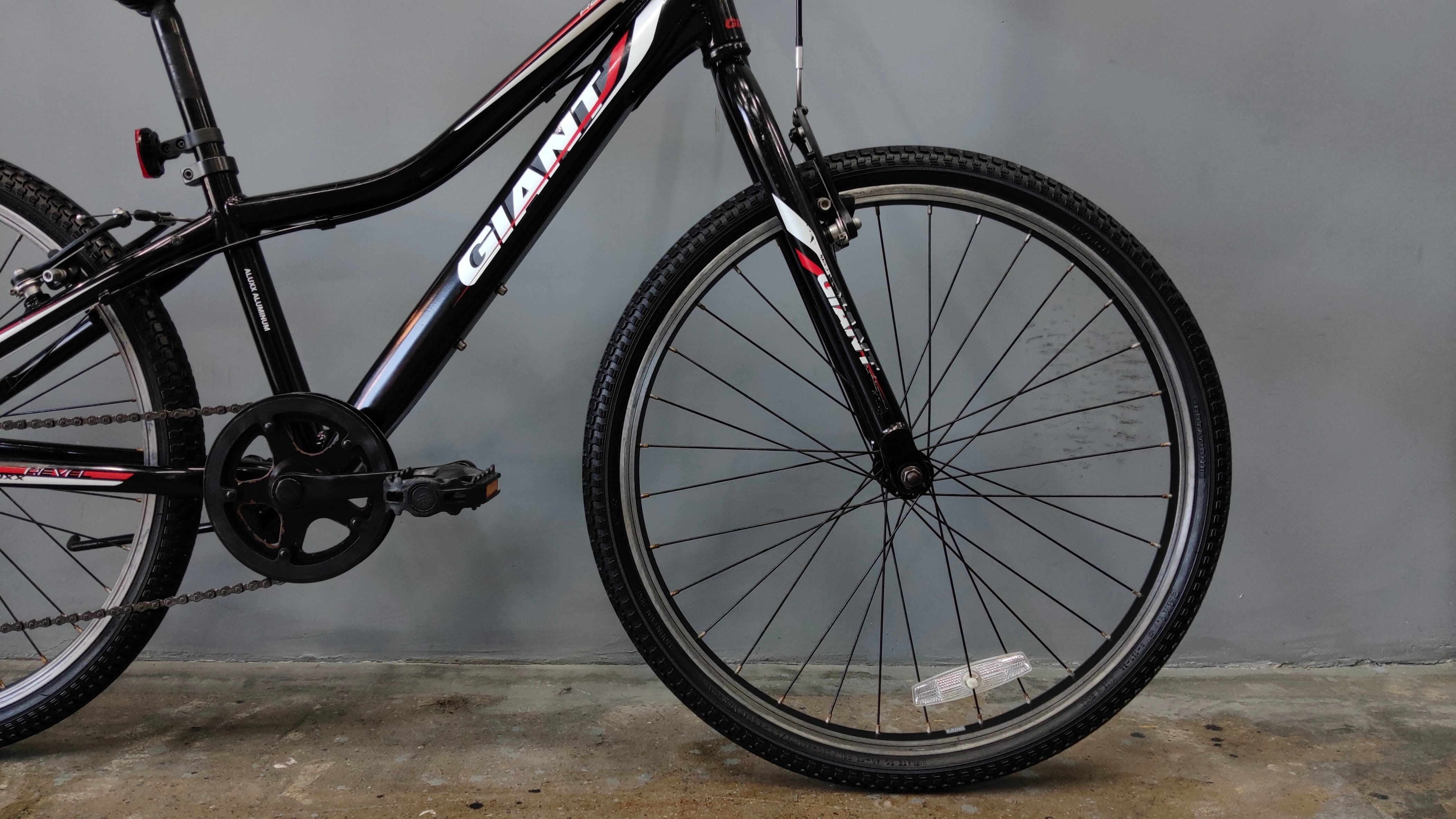 Giant Revel Kids Bike
