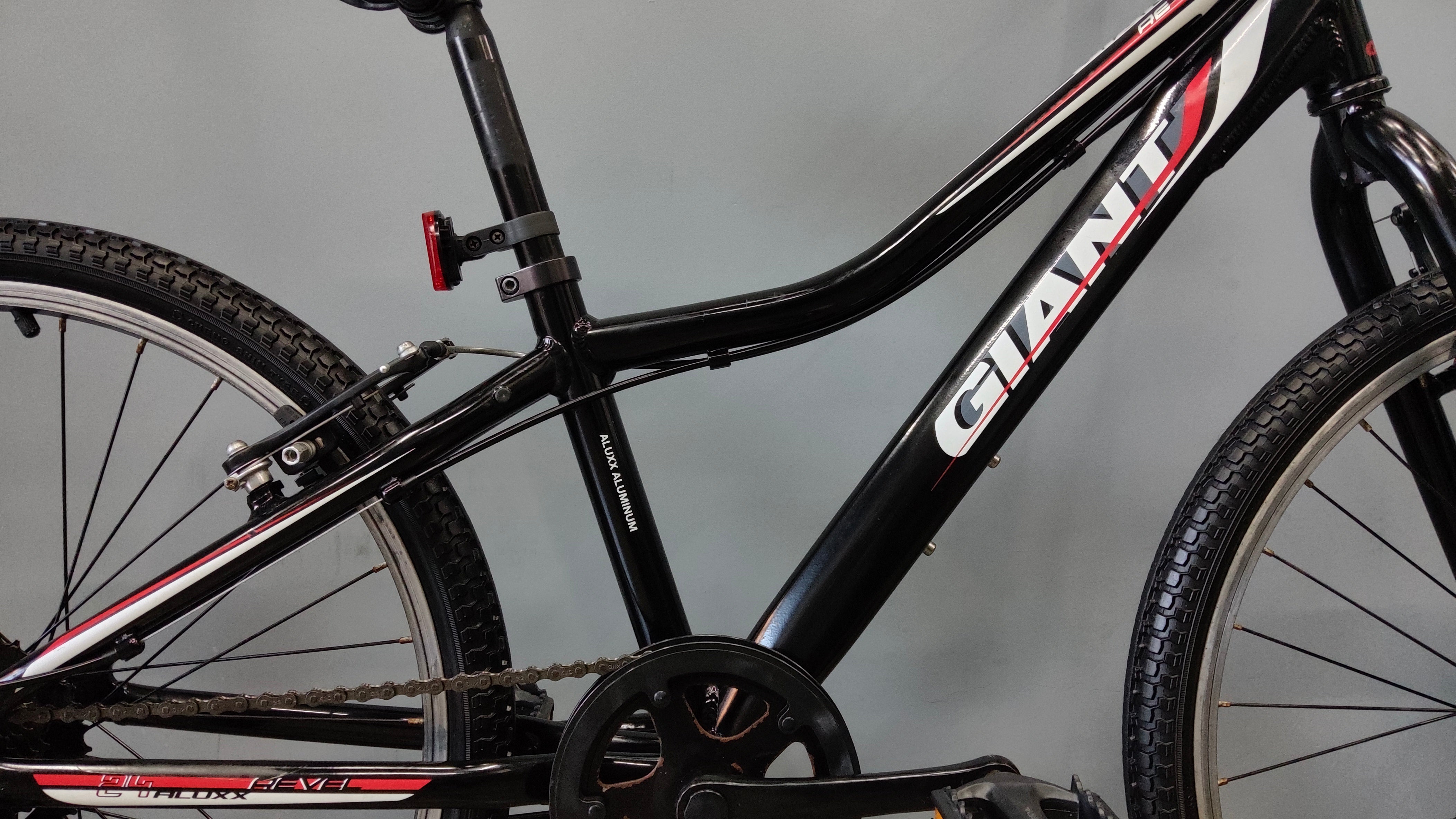 Giant Revel Kids Bike
