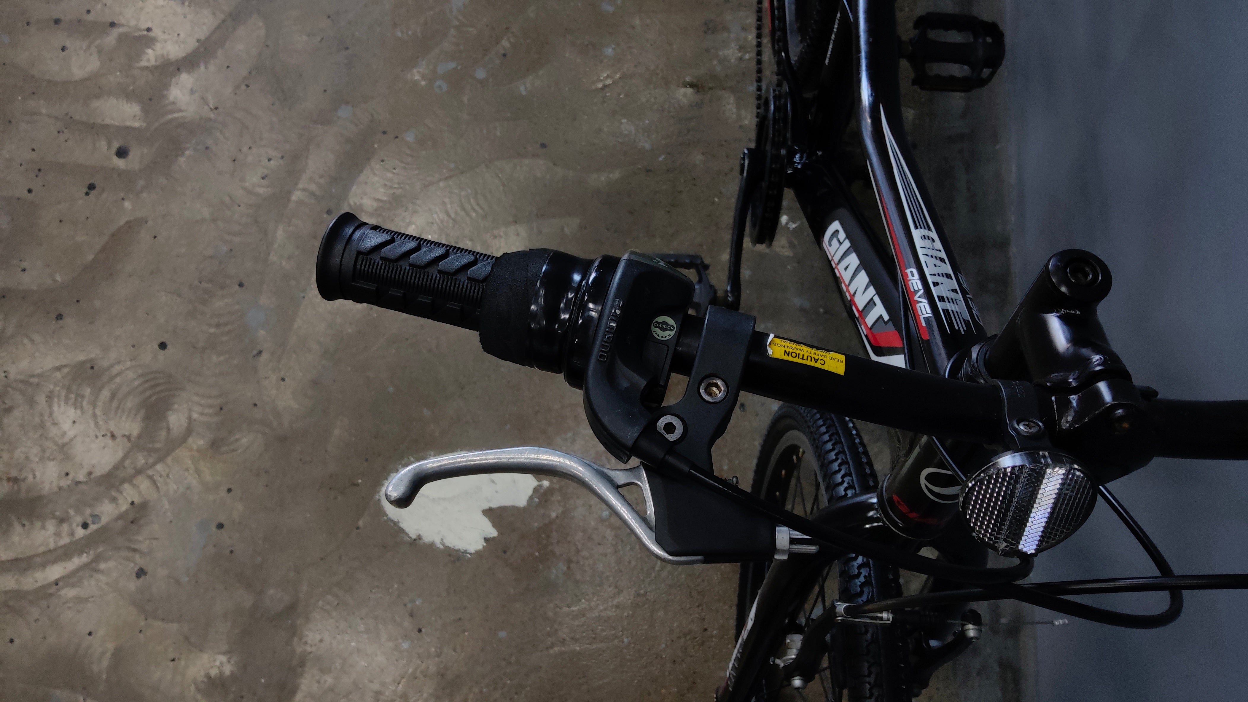 Giant Revel Kids Bike