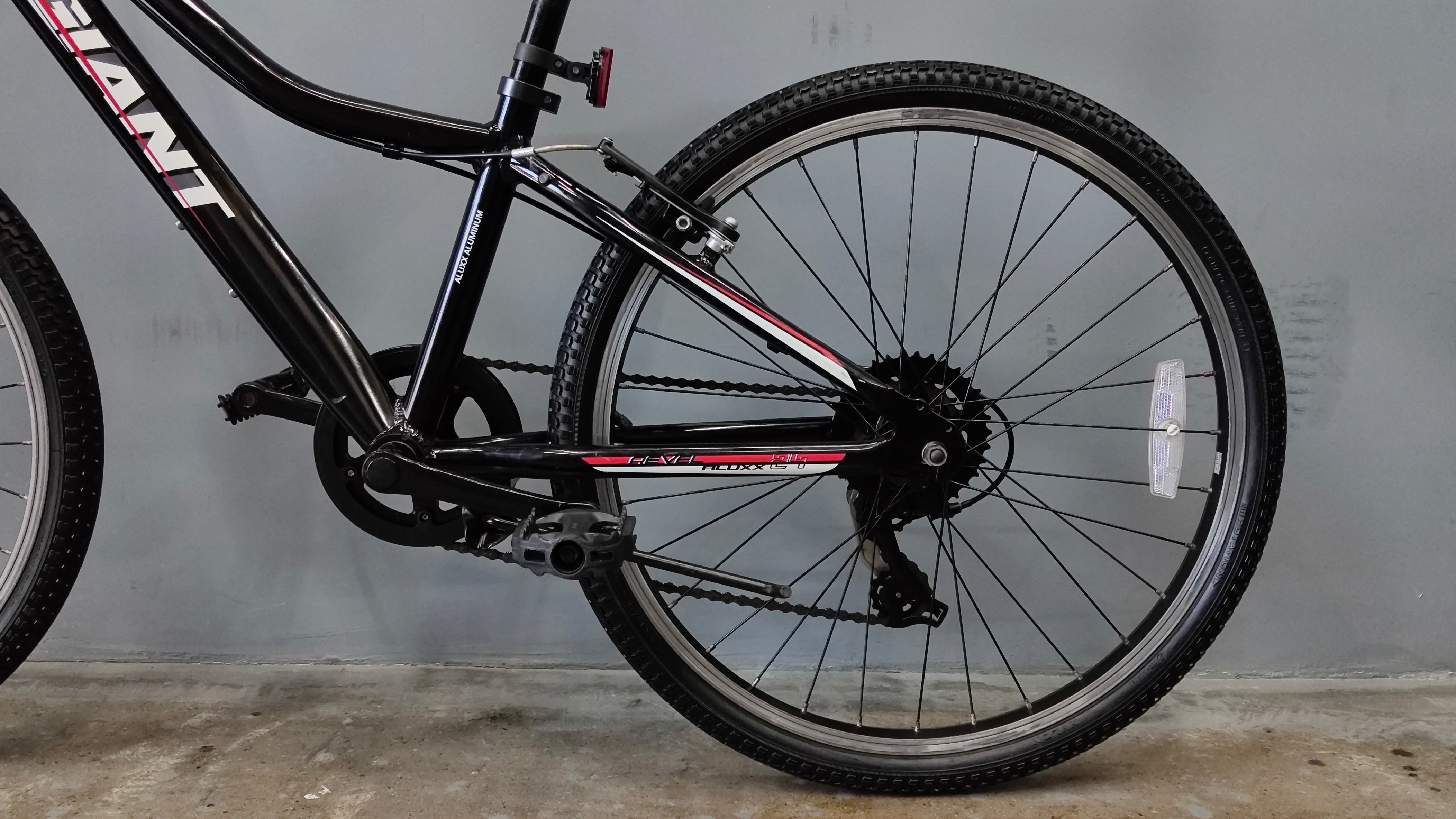 Giant Revel Kids Bike