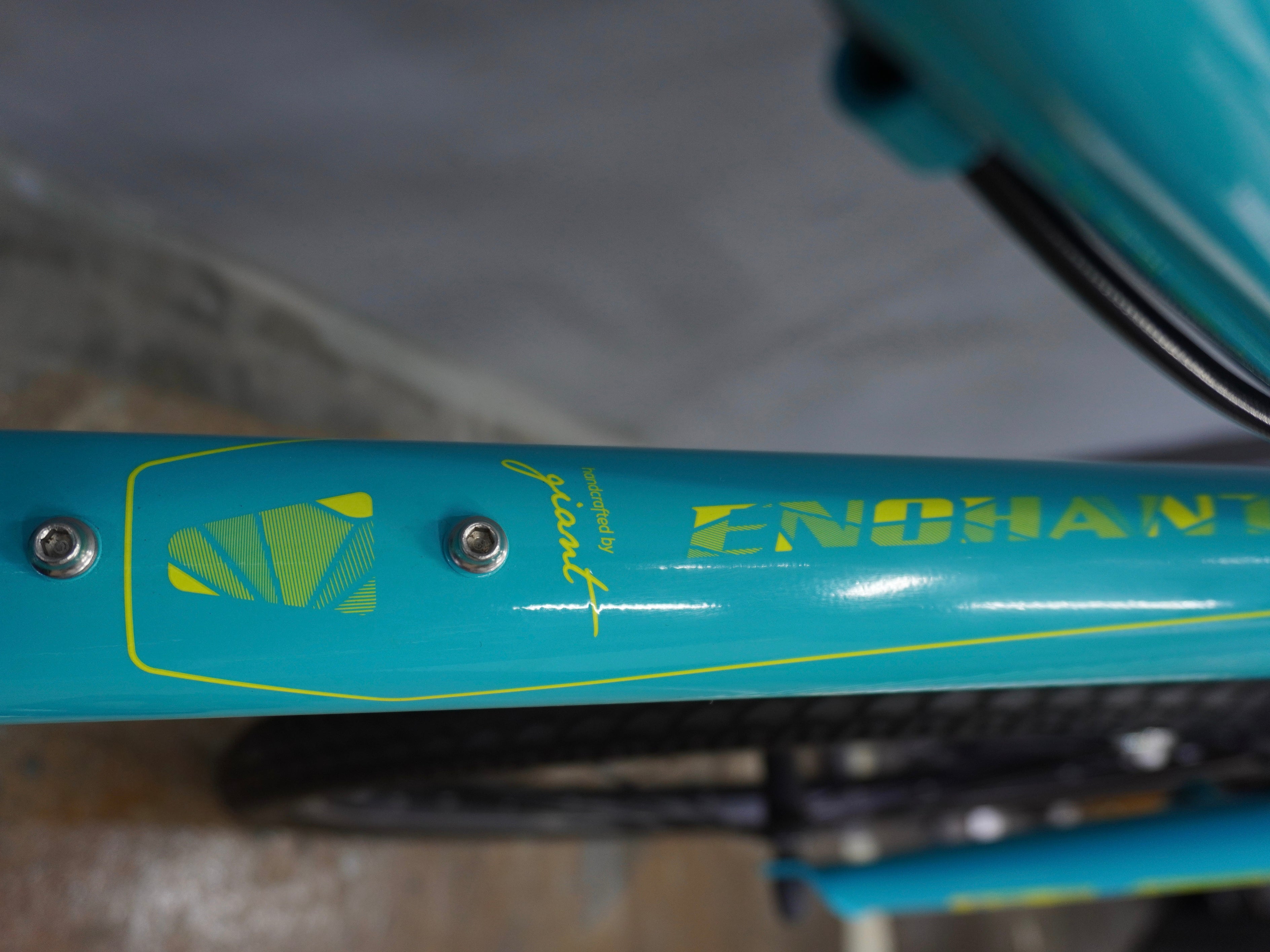 Liv Enchant Kids Bike