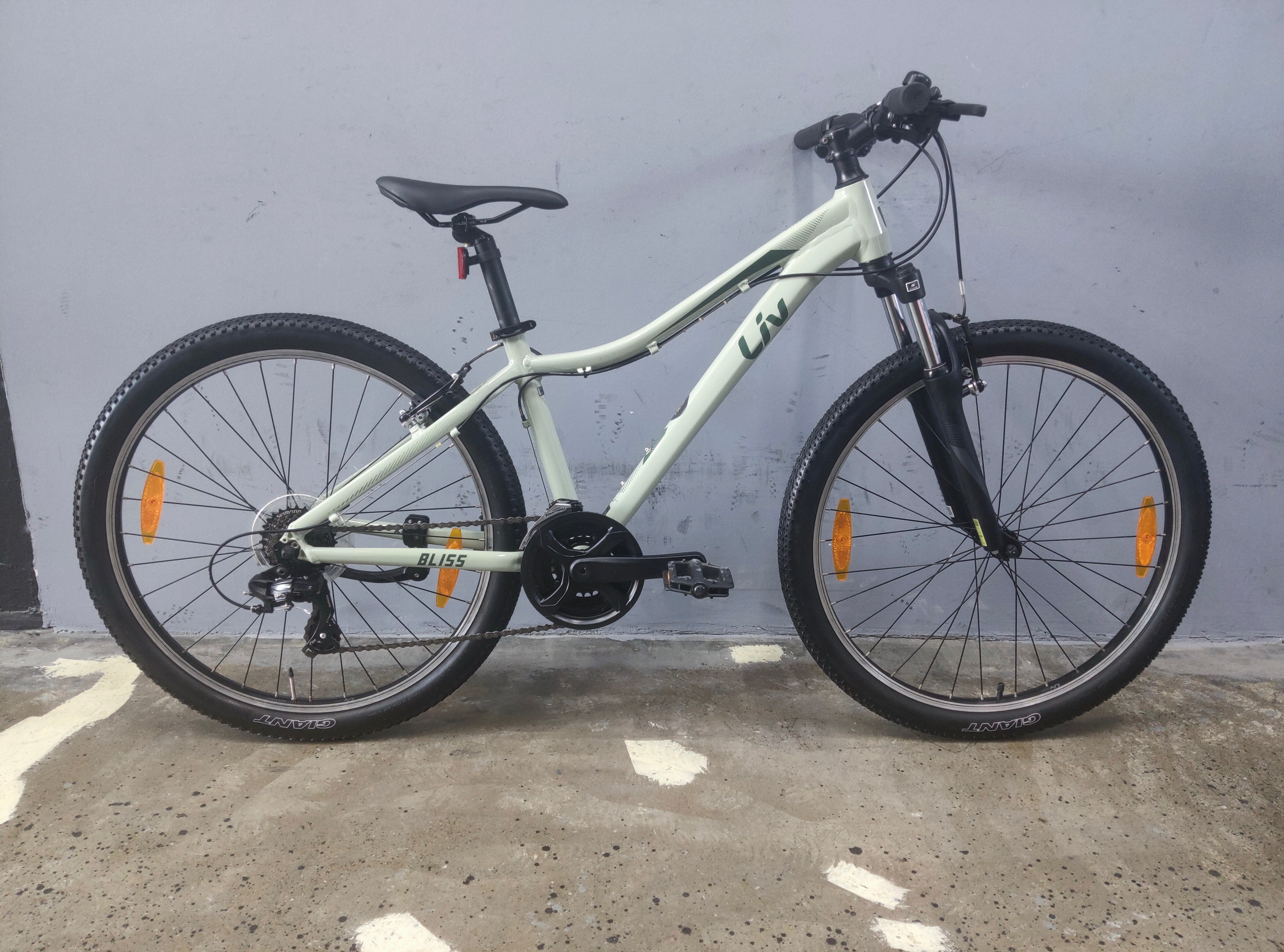 RENT Liv Bliss Mountain Bike