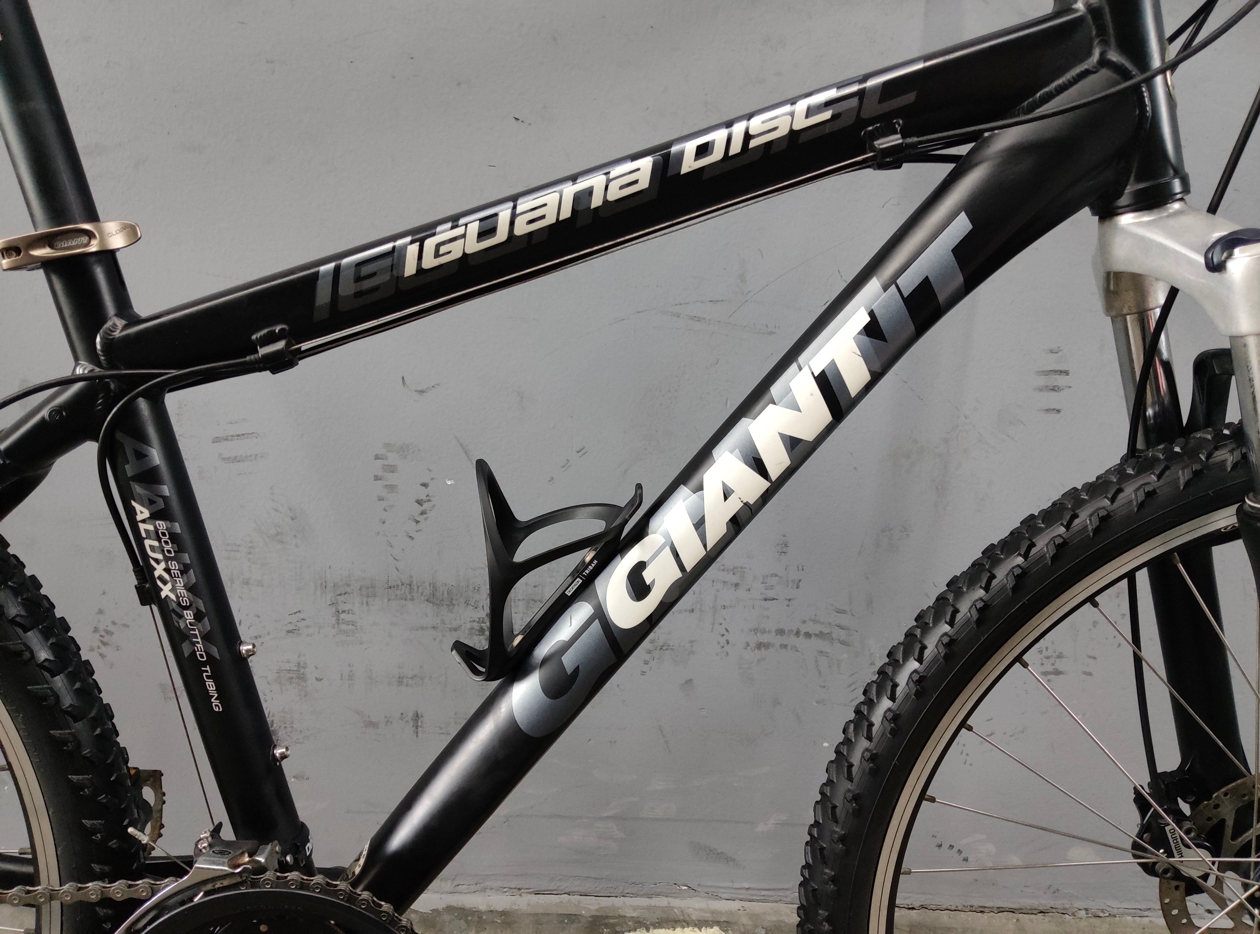 RENT Giant Iguana Disc Mountain Bike