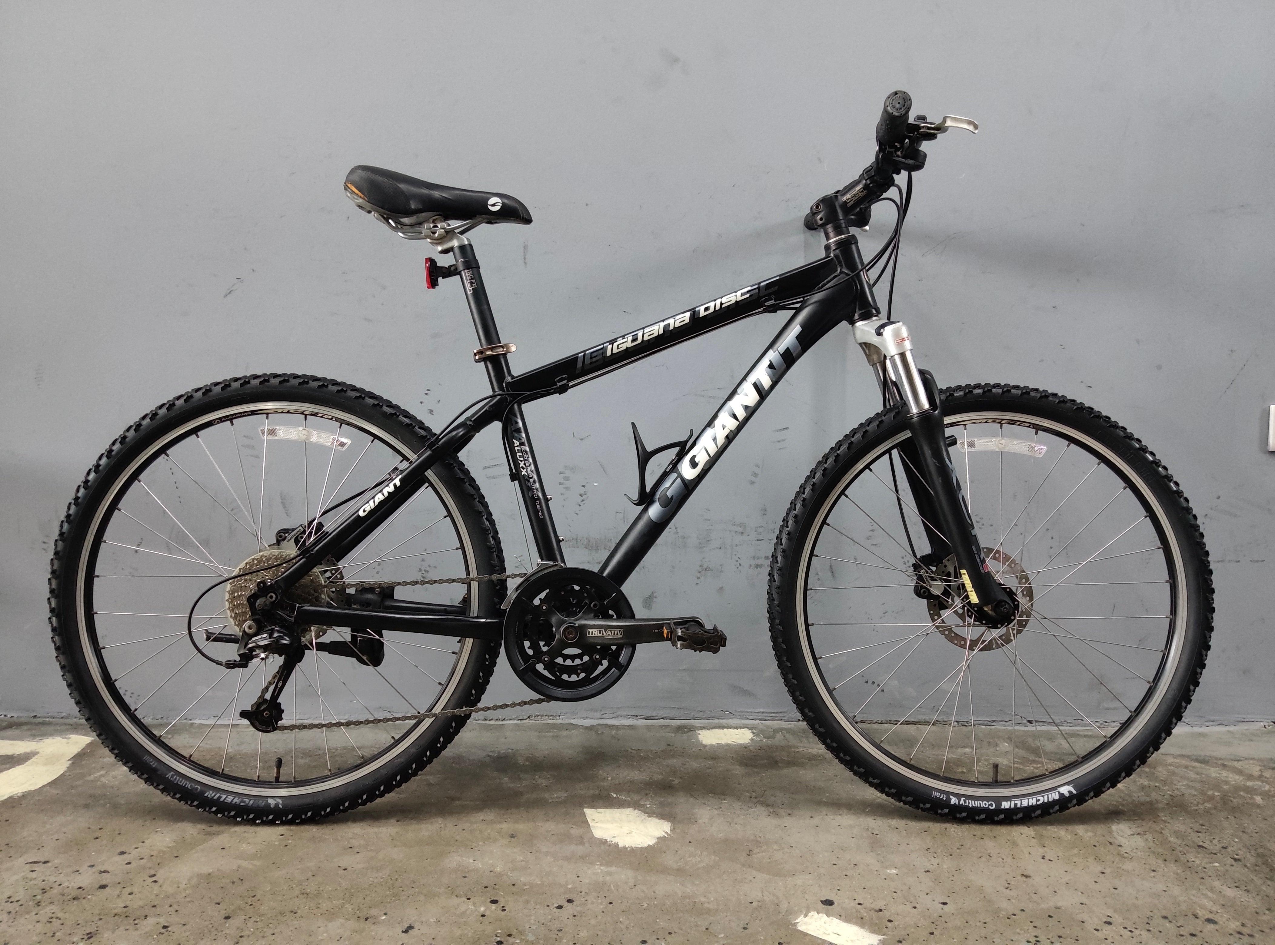 RENT Giant Iguana Disc Mountain Bike