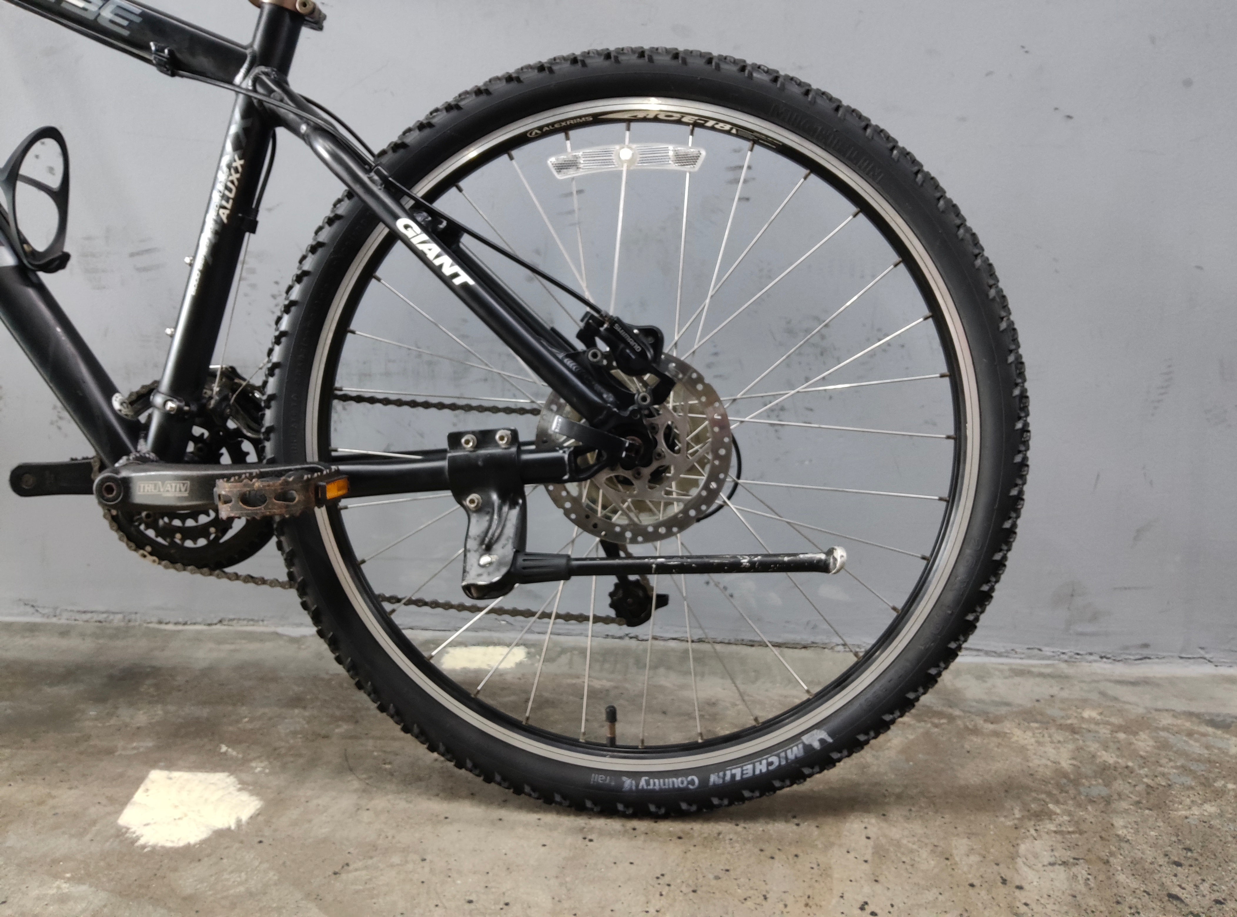 RENT Giant Iguana Disc Mountain Bike