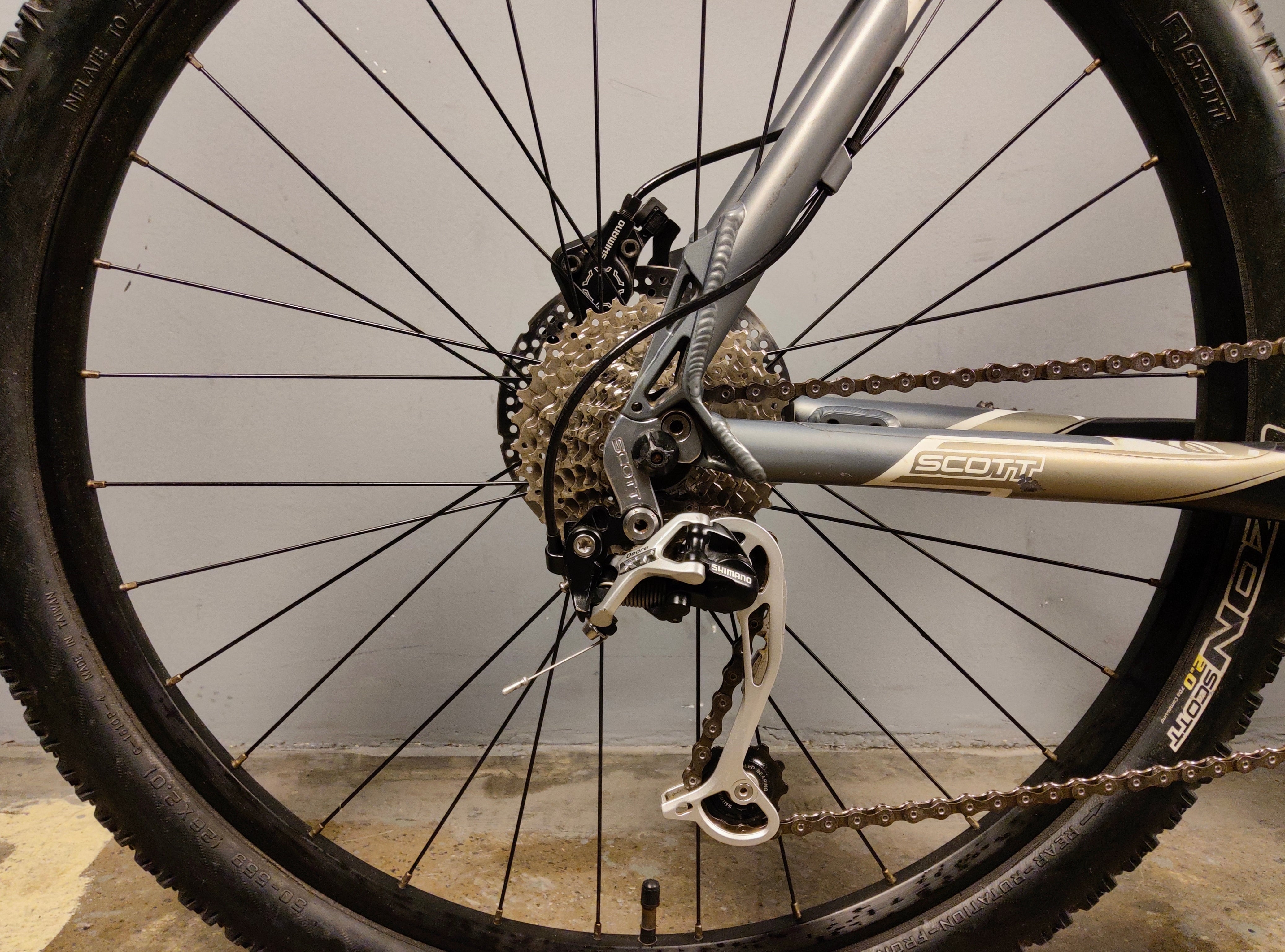 RENT Scott Aspect 10 Mountain Bike