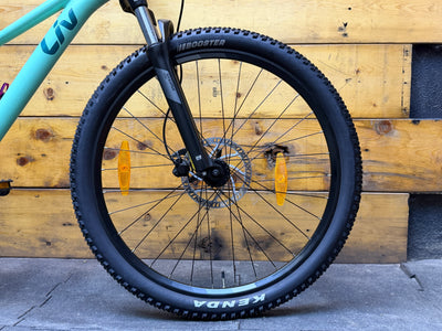 Liv Tempt 2 Mountain Bike