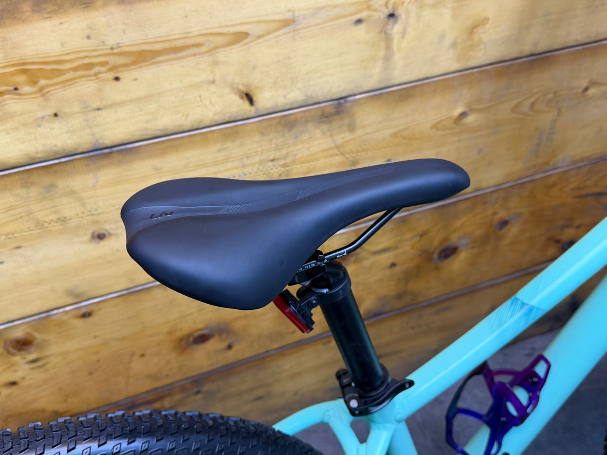 Liv Tempt 2 Mountain Bike
