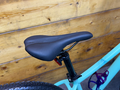 Liv Tempt 2 Mountain Bike