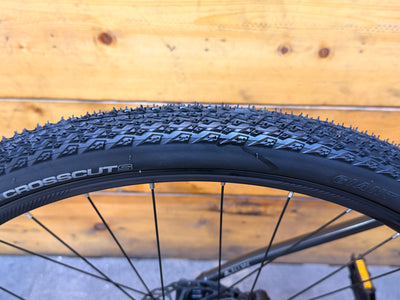 Giant Roam 2 Mountain Bike