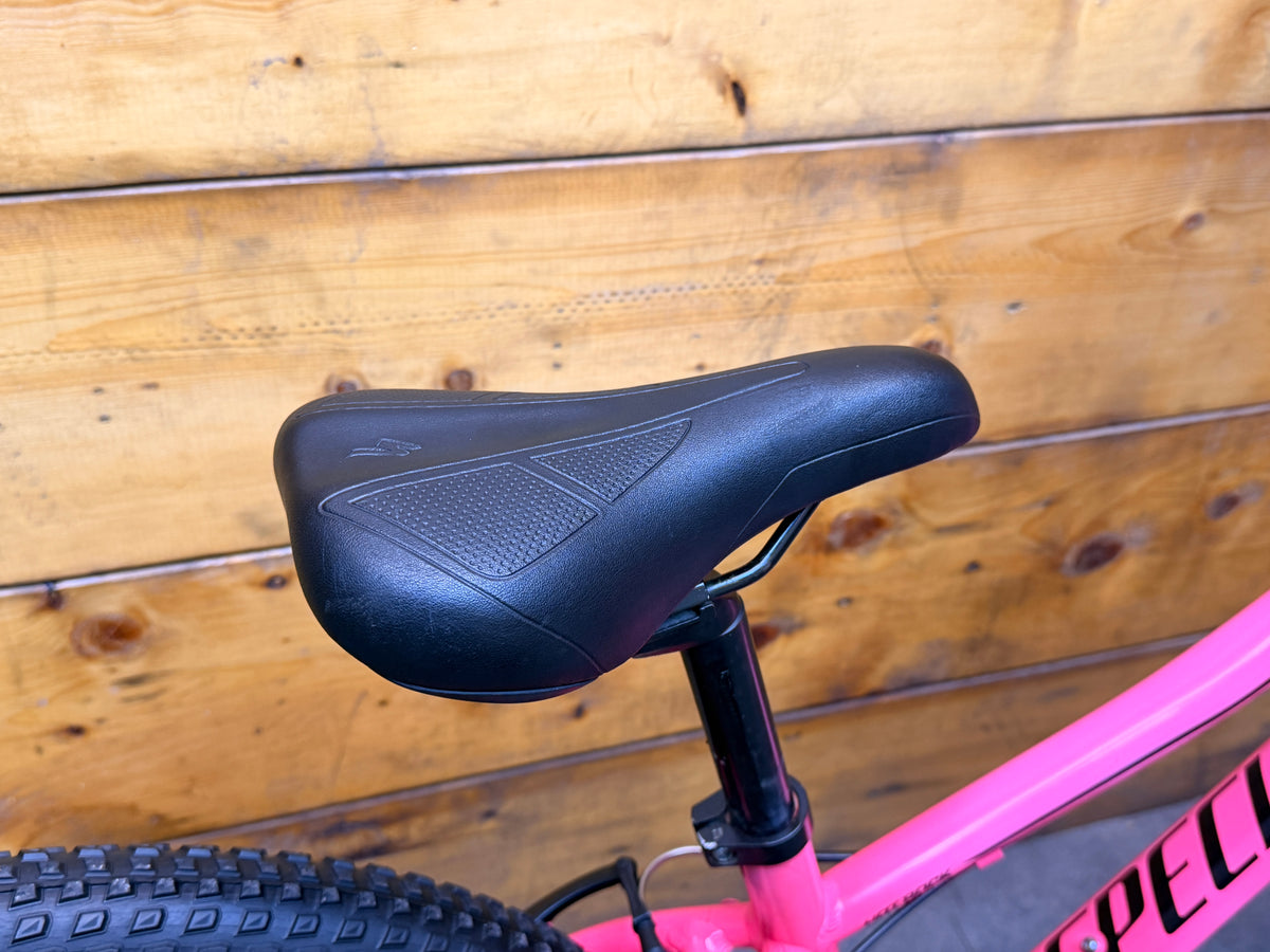 Specialized Hotrock 24 Kids Bike