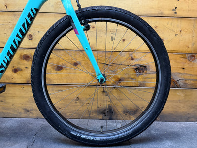 RENT Specialized Roll Elite City Bike