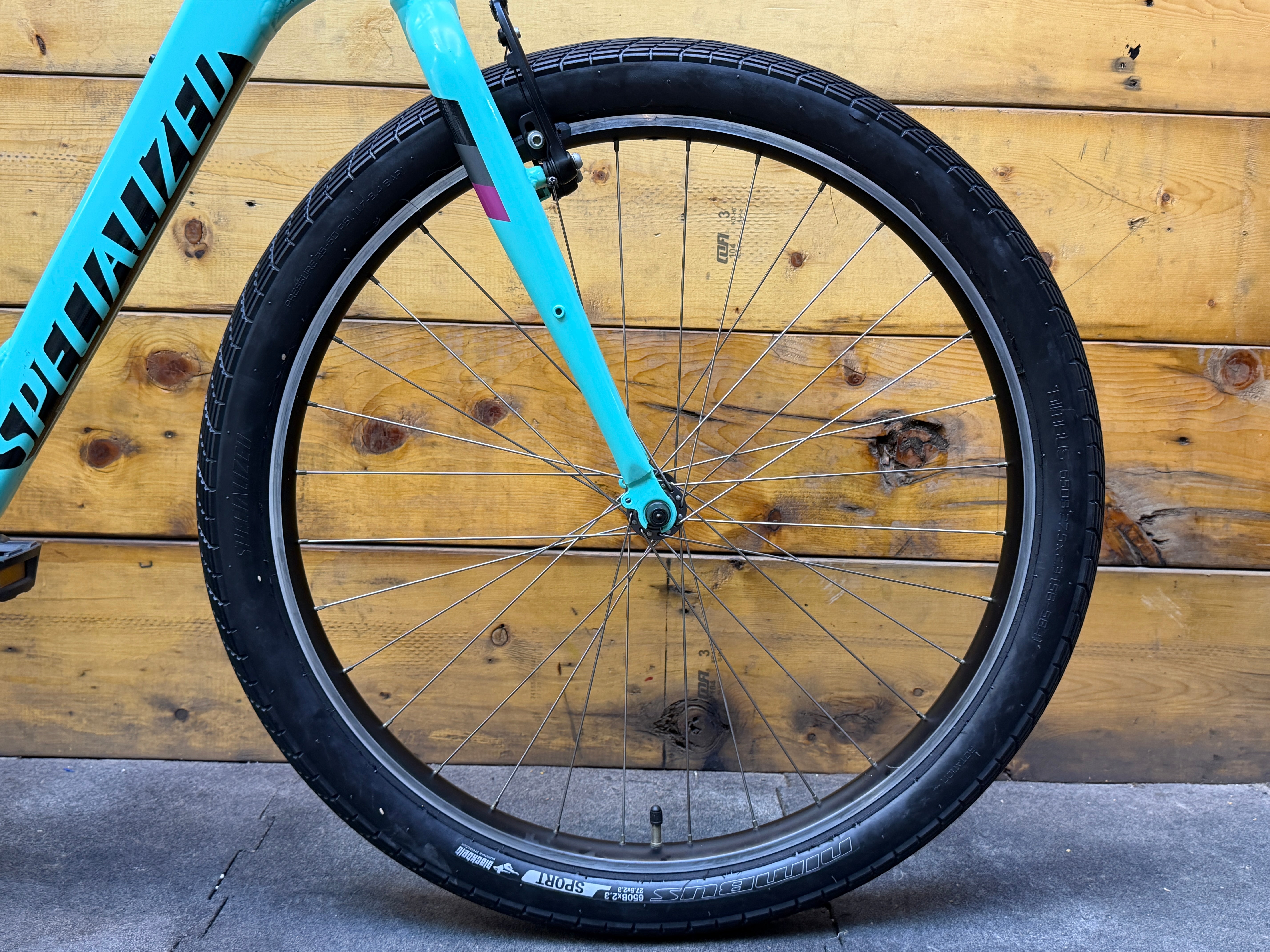 Specialized Roll Elite City Bike