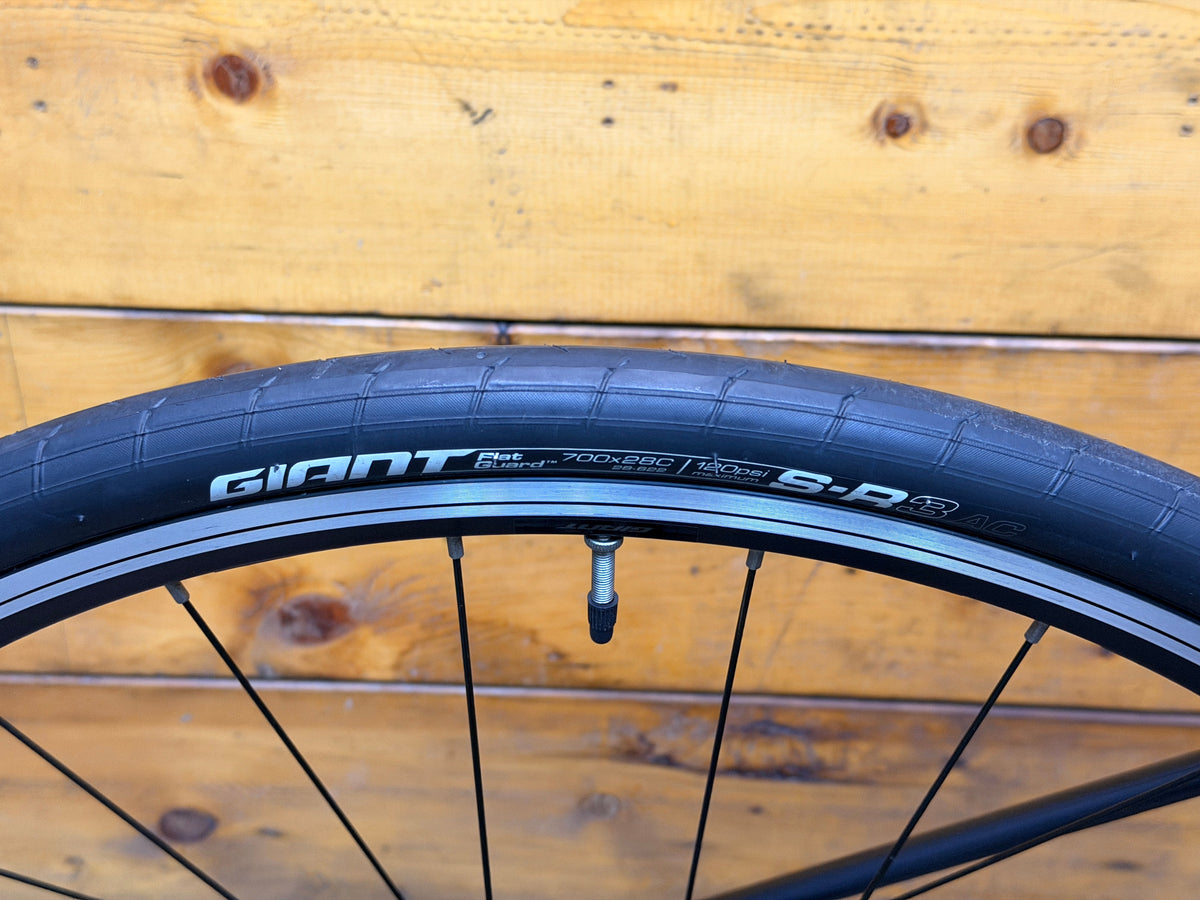 RENT Giant Contend 3 Road Bike