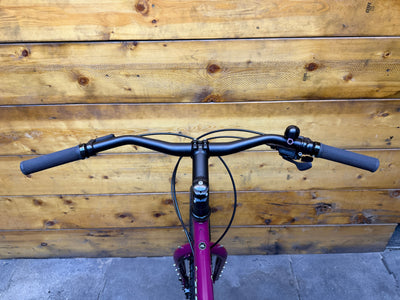 RENT Surly Ogre Gravel Bike