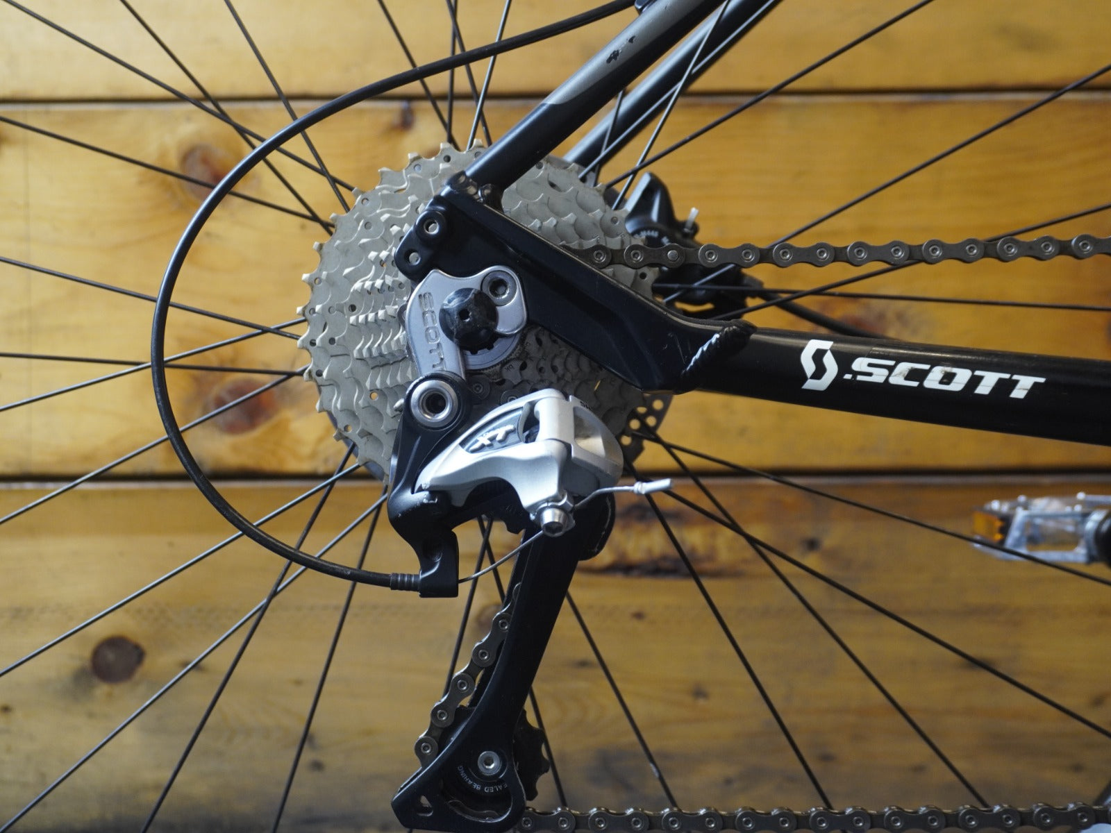 RENT Scott Sportster 10 Mountain Bike