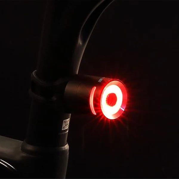 Zyklus Z5 Rear Light Alloy