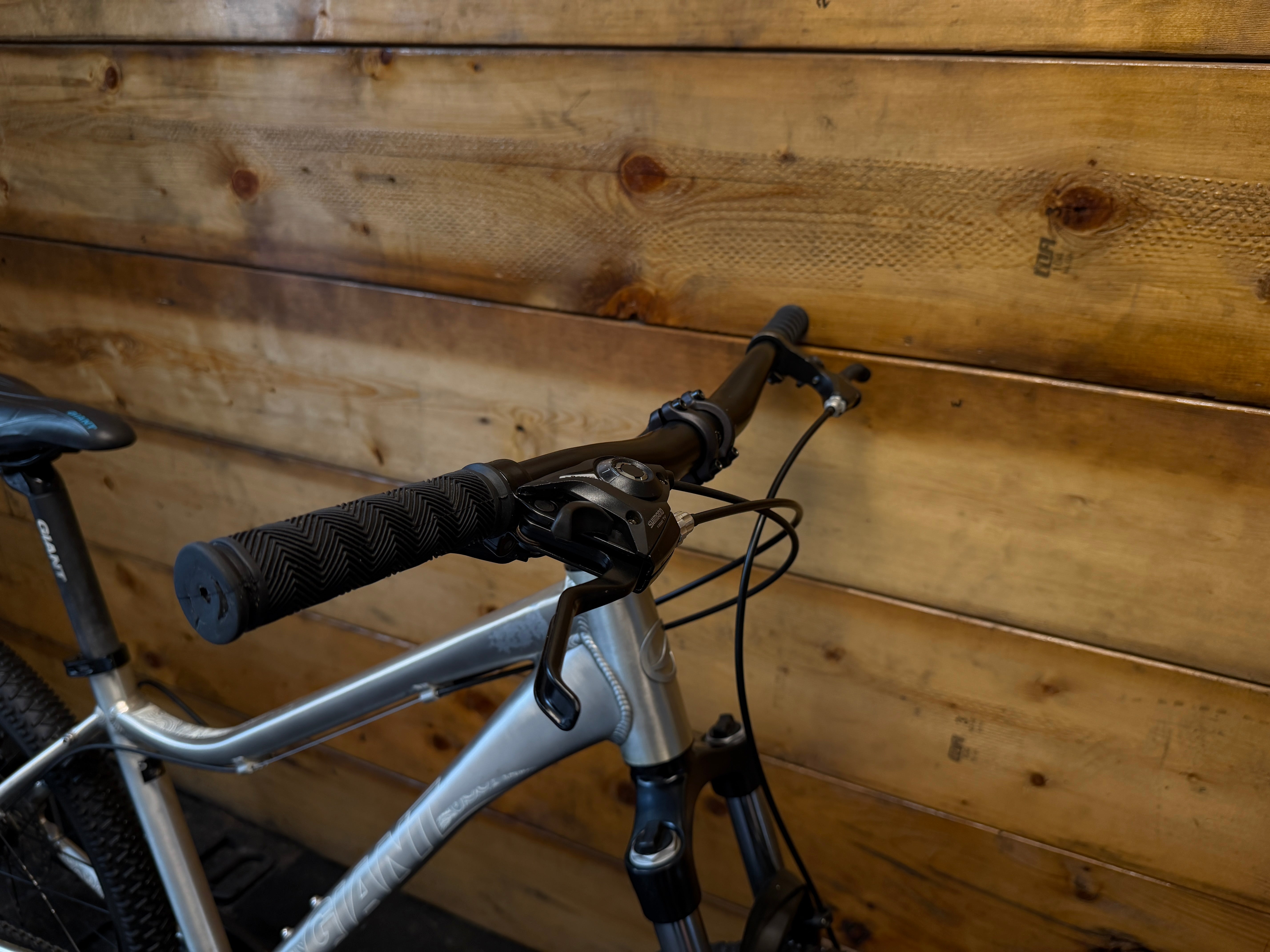 Giant Revel Mountain Bike