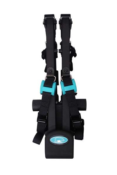 BEARACK Transformer Bike Trunk Rack Foldable Bicycle Carrier BC 6425