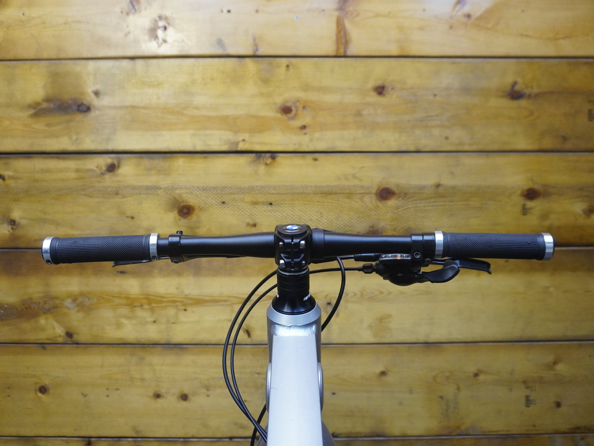 BMW Hybrid Bike